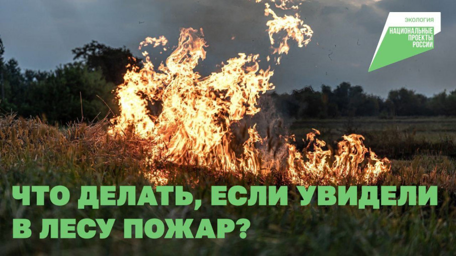 Осторожно, пожары! Осторожно, пожары!.